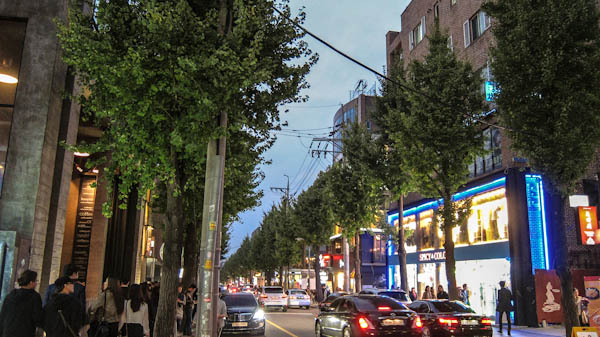 Garosu-gil (Tree Lined Street) On An Autumn Evening