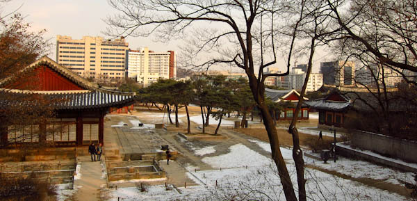 Changgyeonggung Palace During The Winter