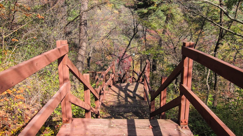 Access to Sukjeongmun Gate requires a walk up many stairs