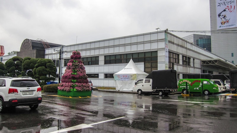 Outside of the auction building at Yangjae Flower Market