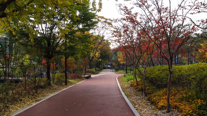 Autumn colors at Jangchungdan Park in Seoul
