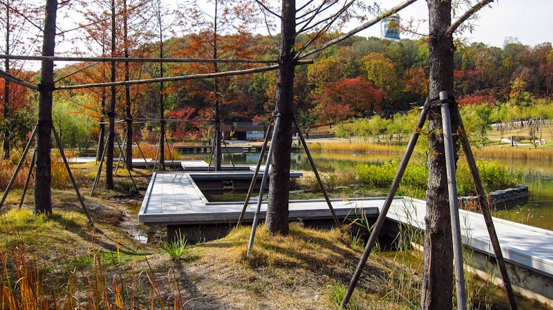 Broadwalk pathway following the pond at Dream Forest in Seoul