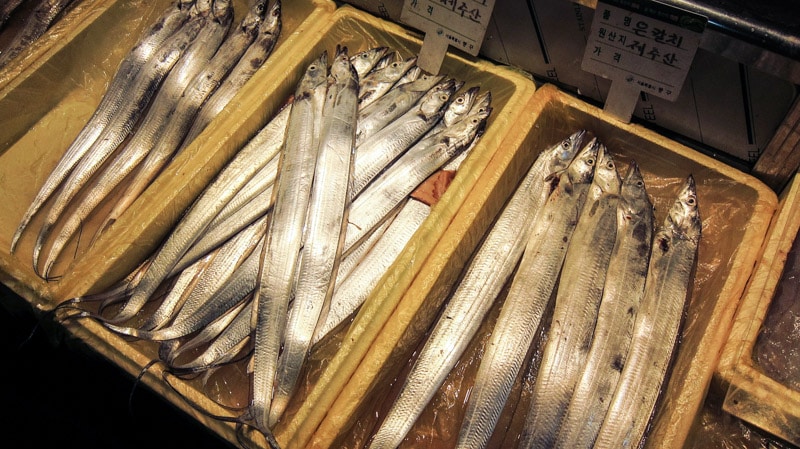 Cutlass (Ribbon) fish for sale at Seoul Jungang Market