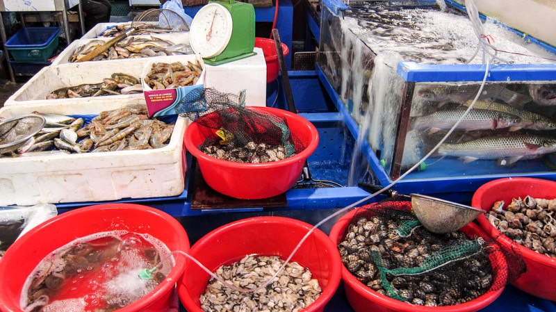 Assortment of fish, shrimp, and clams at Seoul Jungang Market in Seoul