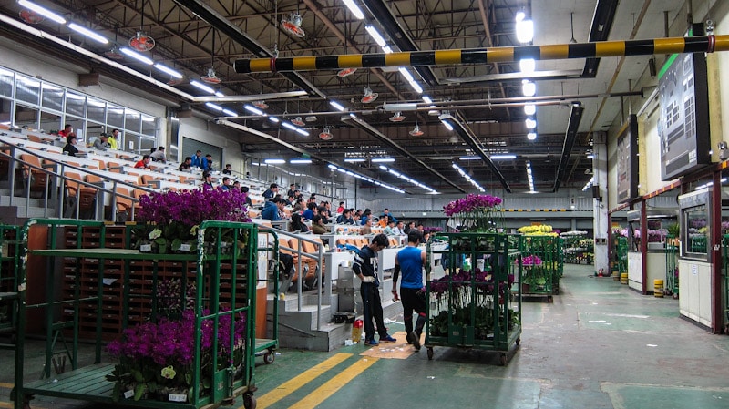 Flower auction in progress at Yangjae Flower Market