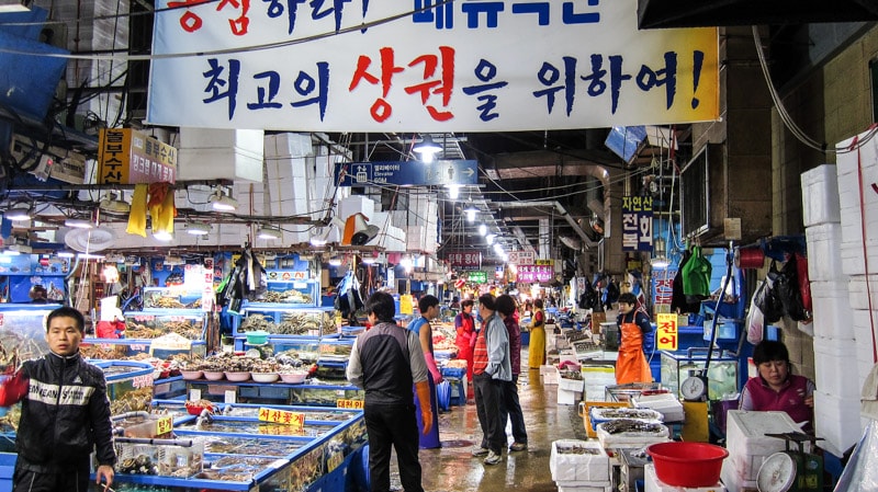 Fresh fish and seafood for sale at Garak Mall