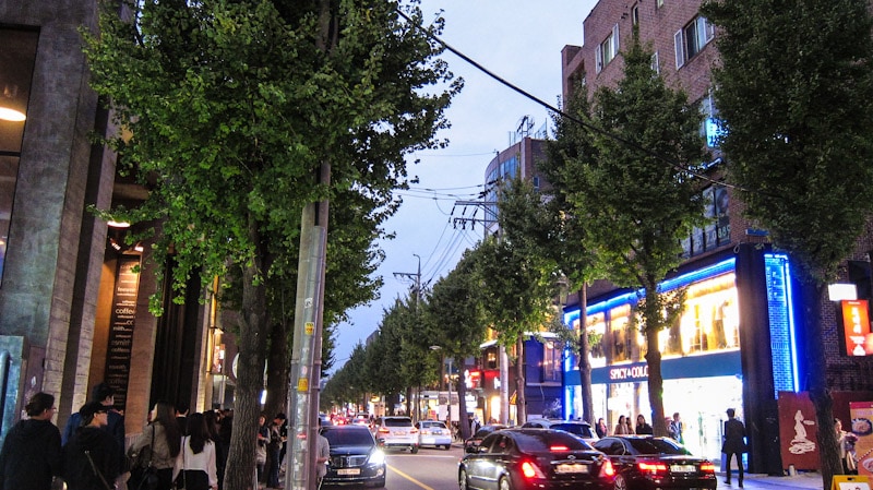 Garosu-gil (tree lined street) on an autumn evening