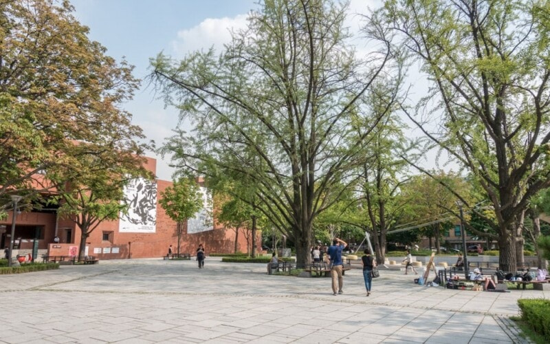 Marronnier Park on a summer day, Seoul, South Korea