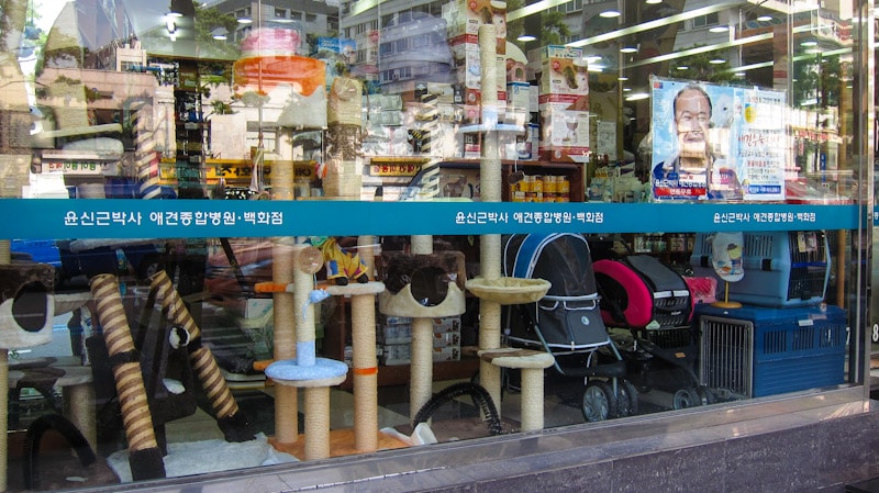 One of the many pet stores at Chungmuro Pet Street in Seoul