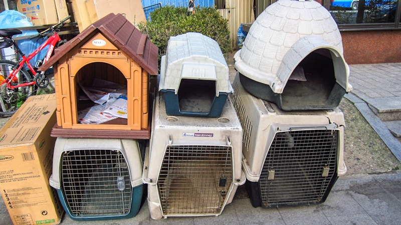 Pet carriers and houses at Chungmuro Pet Street in Seoul, South Korea