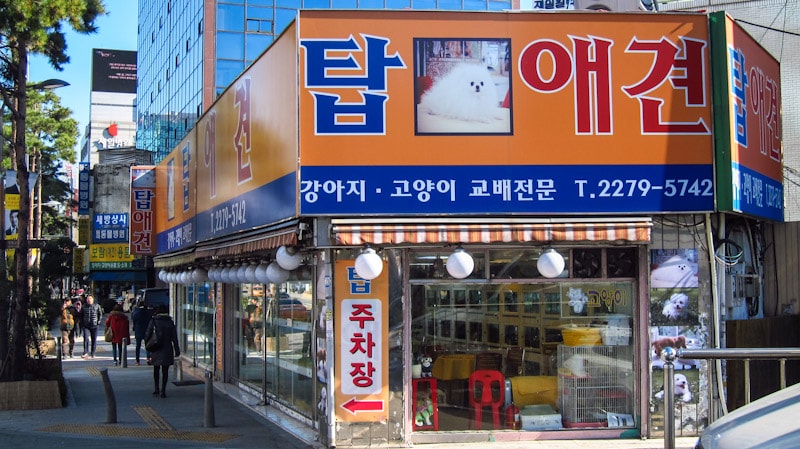 A view down Chungmuro Pet Street in Seoul, South Korea