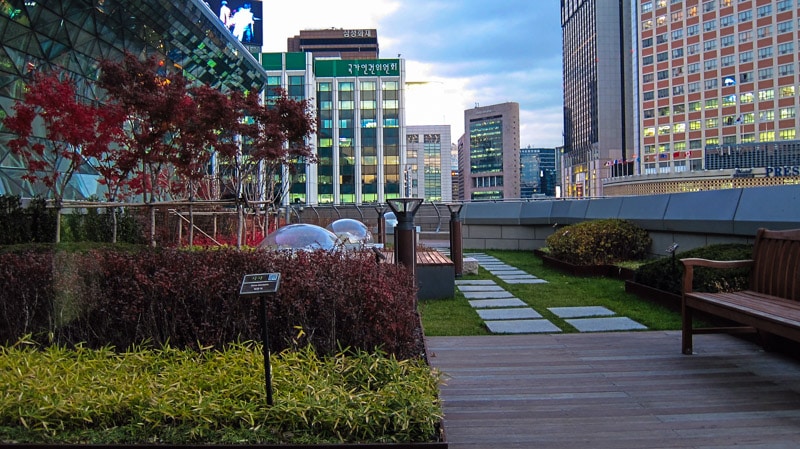 Rooftop garden at Old Seoul City Hall