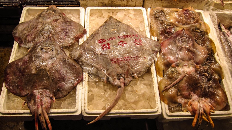 Not everyday do you see stingrays for sale at Noryangjin Fish Market