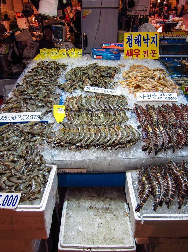 Wide variety of large shrimp for sale at the Noryangjin Fish Market