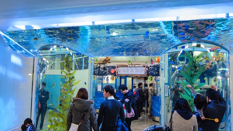 Entrance to the COEX Aquarium at the COEX Mall in Seoul