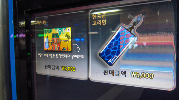 Select Seoul Citypass Plus fare type on left for 3,000 won