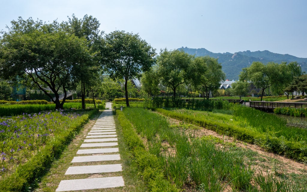 Pathways leading past beautiful scenery