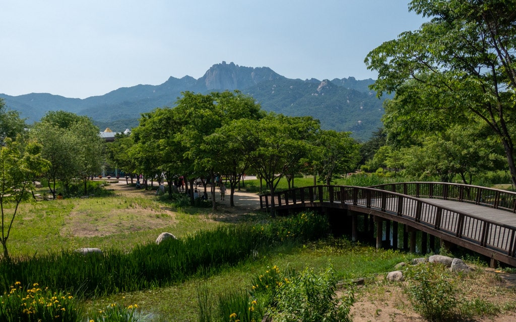 Seoul Iris Garden (Seoul Botanical Garden)