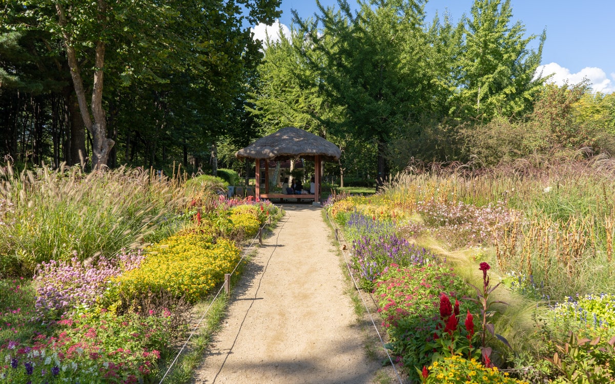 Summer at Yangjae Citizens' Forest