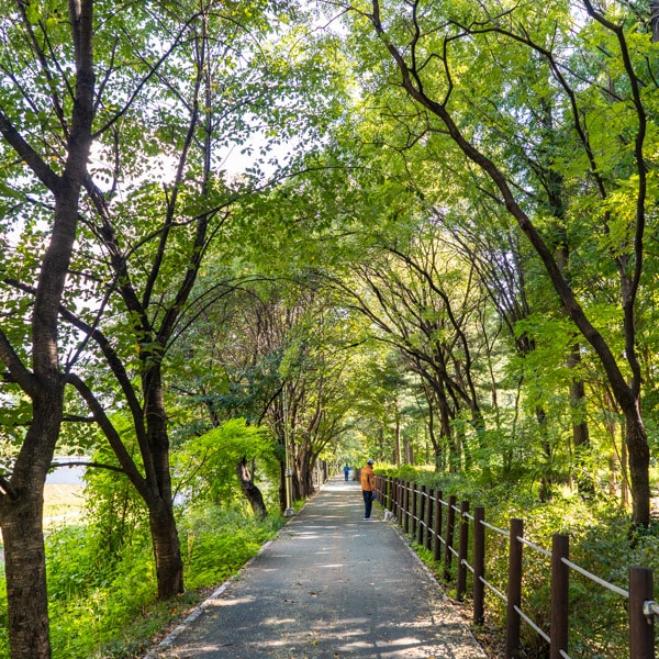 Walking trails