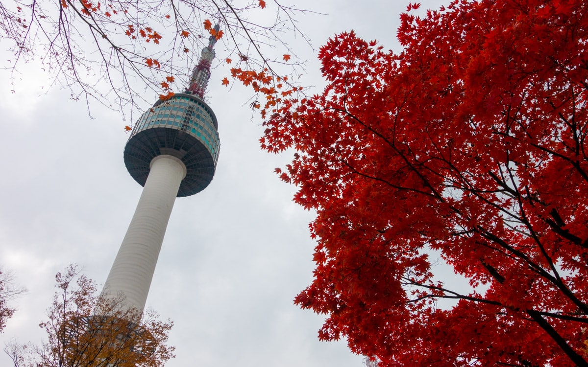 Fall colors at Namsan Park, Seoul, Korea