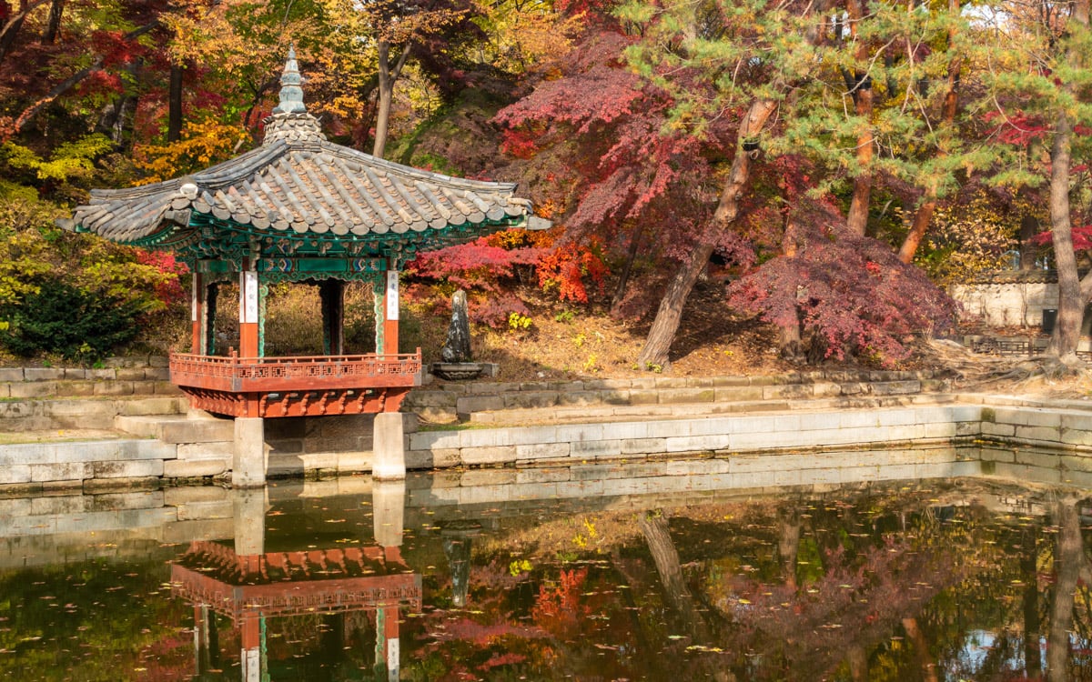 Aeryeonjeong Pavilion surrounded by fall foliage, Huwon Secret Garden, Changdeokgung Palace, Seoul, Korea