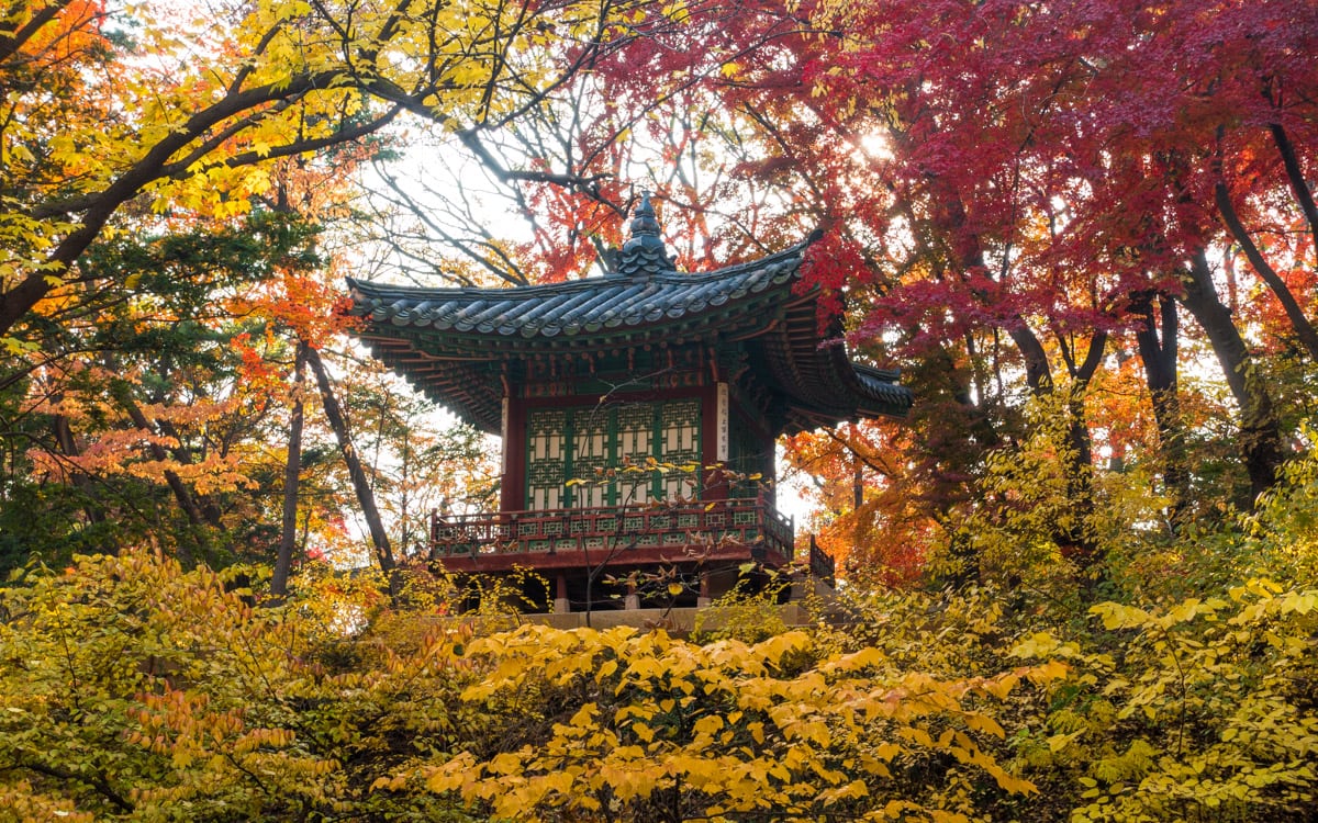 Fall is one of the best times to visit the garden, Huwon Secret Garden, Changdeokgung Palace, Seoul, Korea