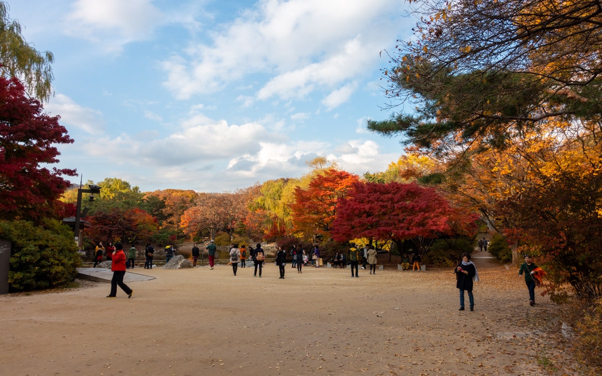 Palace grounds in the fall, Changgyeonggung Palace, Seoul, Korea