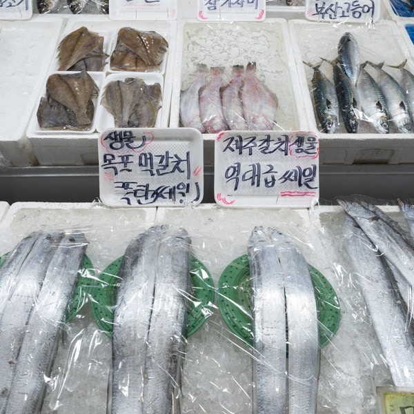 Fresh seafood, Yeongcheon Market, Seoul, Korea