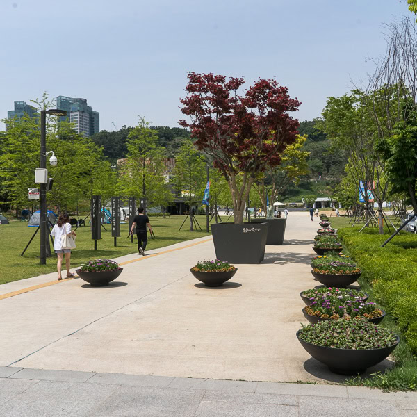Walking paths